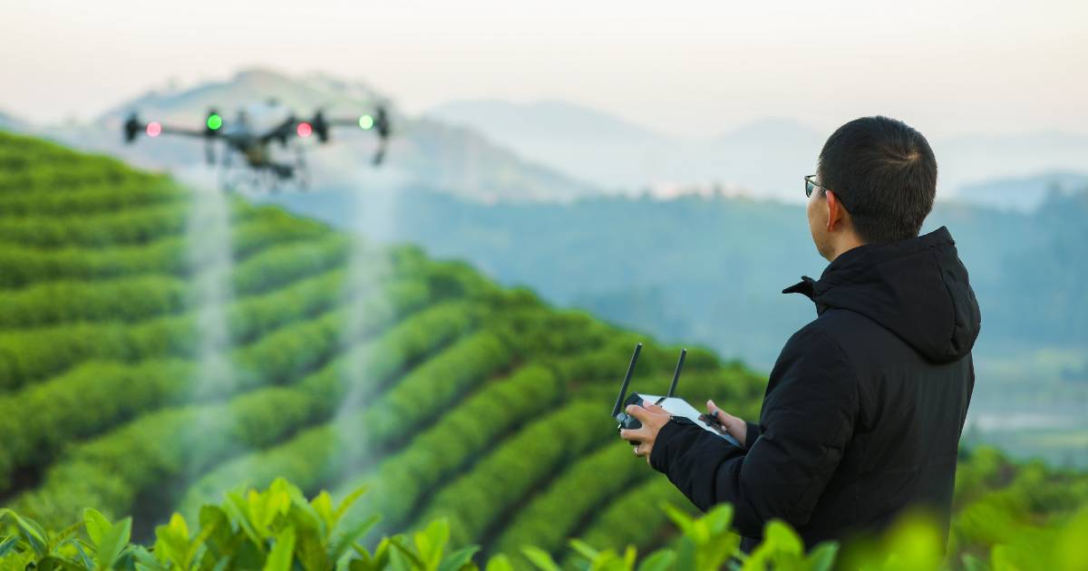 Produtor pulverizando área em declive com drone agrícola DJI T50.