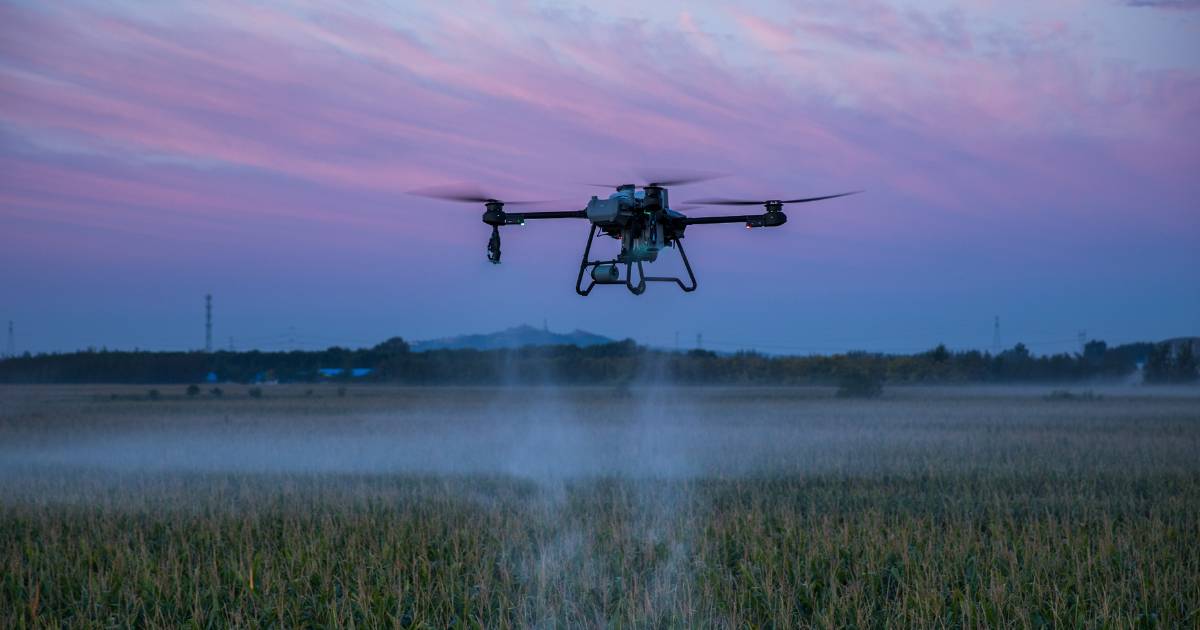 Drone agrícola DJI T25 pulverizando no final da tarde.