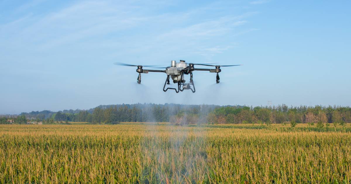 Drone agrícola DJI T20 pulverizando lavoura