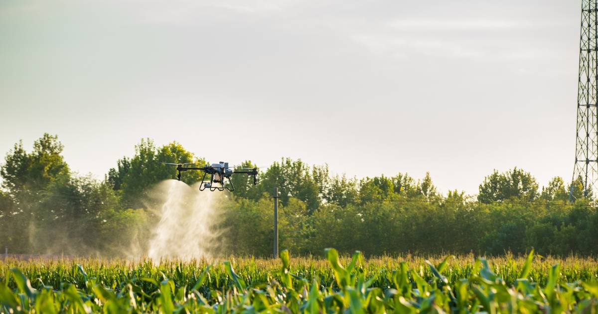 Drone DJI T25 pulverizando.