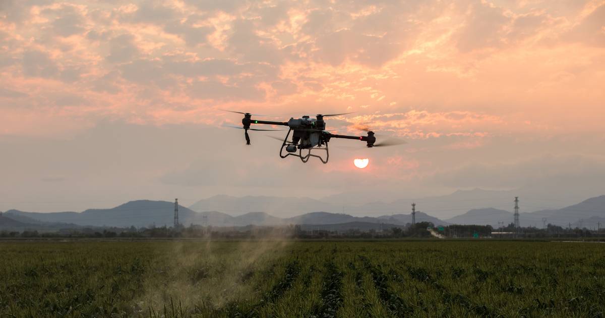 Drone T50 Pulverizando