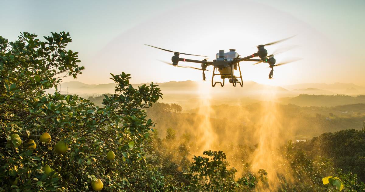 Drone agrícola DJI Agras T25 pulverizando.