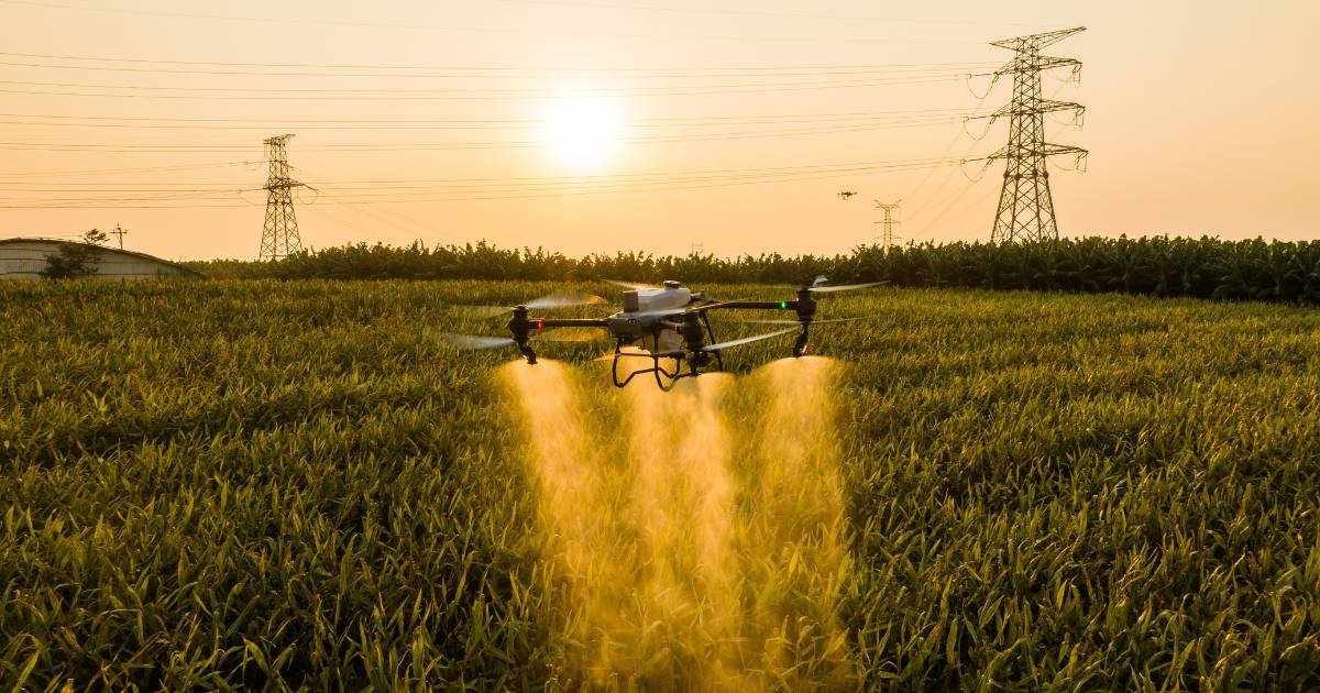 Drone agrícola T50 pulverizando