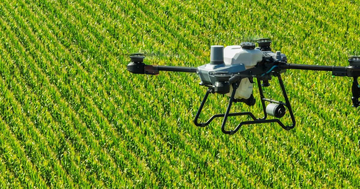 Drone DJI T25