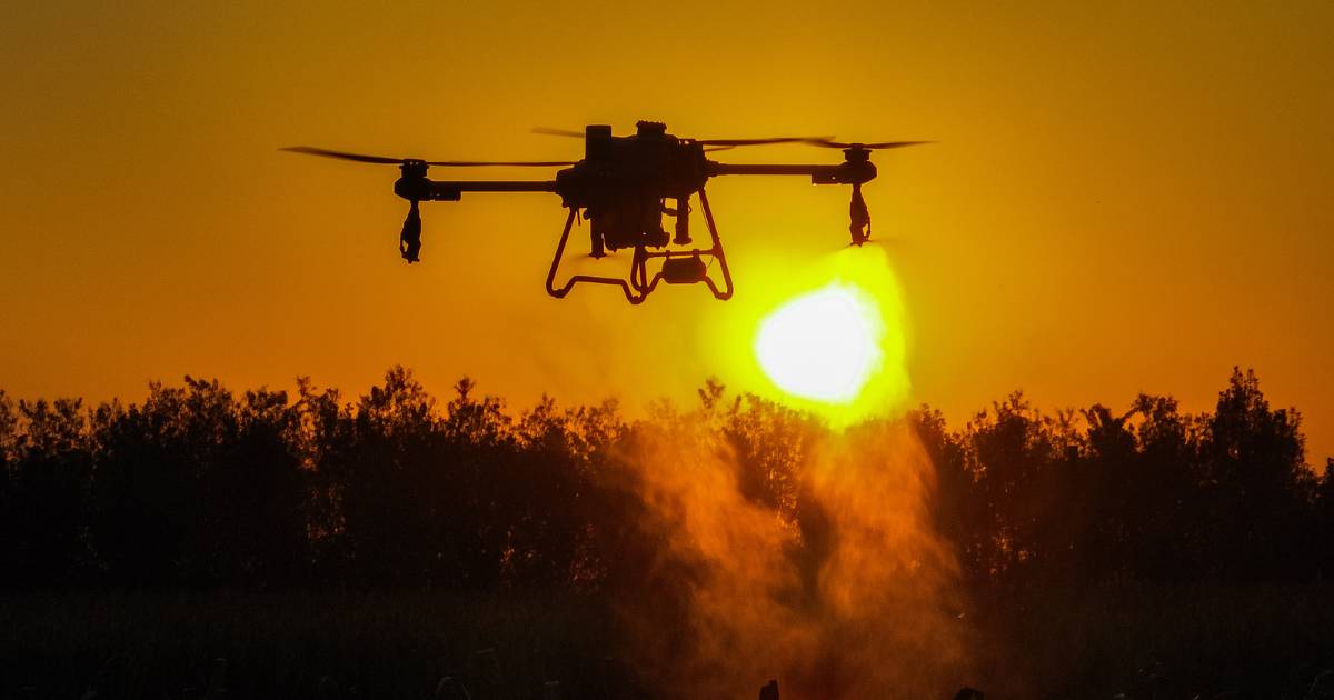 Drone DJI Agras T50 sobrevoando ao por do sol