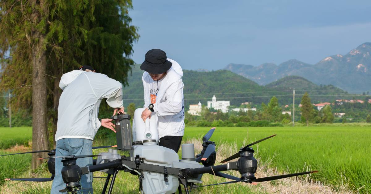 Homens colocando produto para pulverização em Drone Agrícola DJI Agras T50