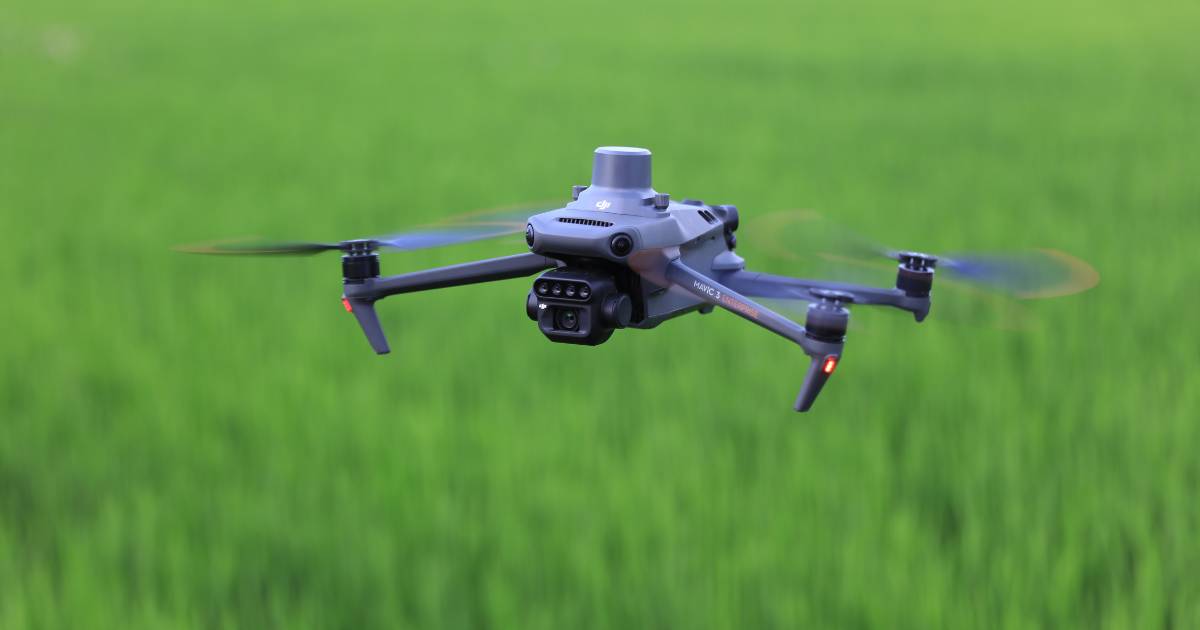 DJI Mavic 3M sobreavoando lavoura.
